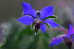 いつのときも君に伝えたい　切ない想い