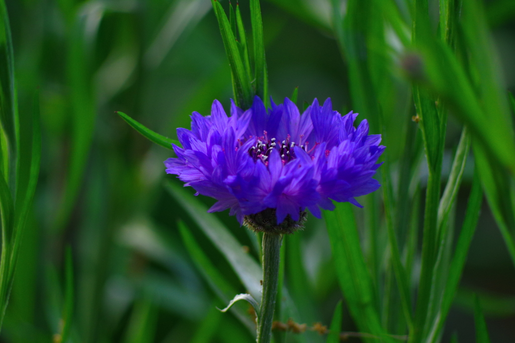 Night night, love♡　