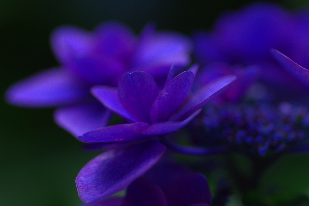 淡く蒼い時の中で