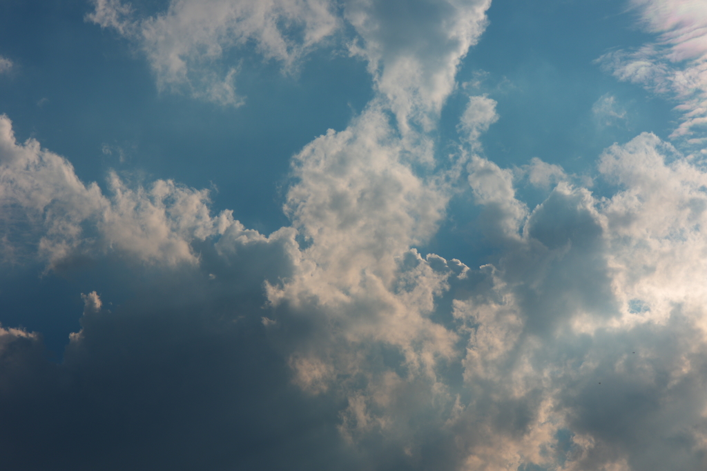 愛しい君と見上げる　僕の大好きな青空