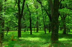 どこまでも君を連れて行くよ