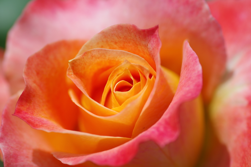 power of Love