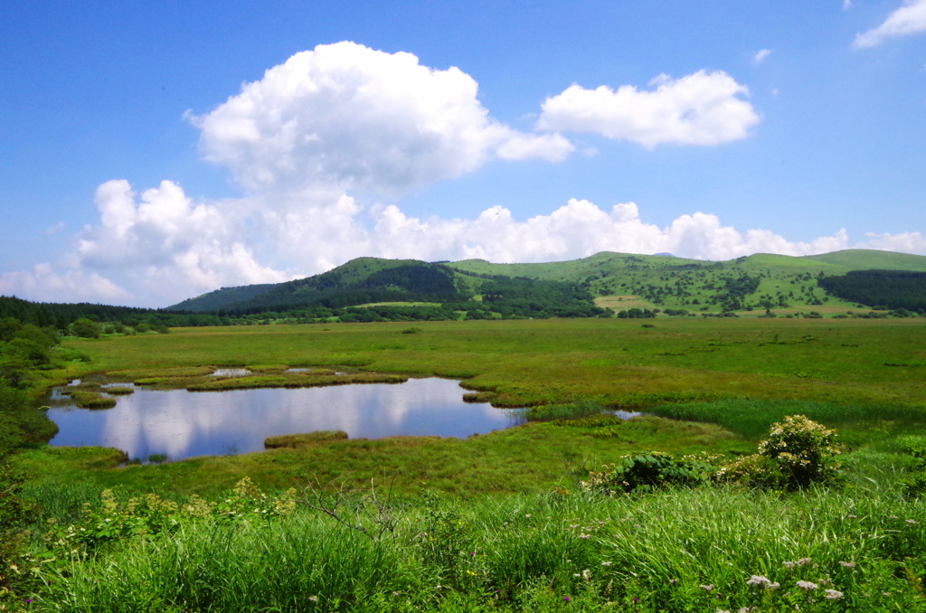 DCIM005.image
