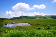 DCIM005.image