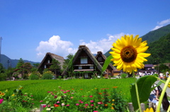 DCIM008.image