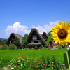 DCIM008.image
