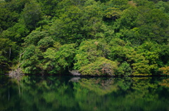 DCIM022.image