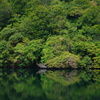 DCIM022.image