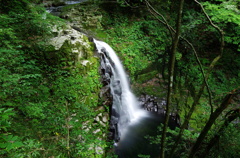 DCIM003.image