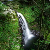 DCIM003.image