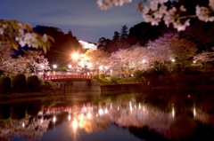 夜桜