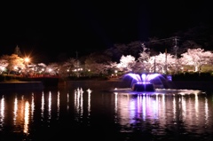夜桜