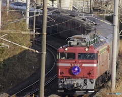 今年の撮り初め