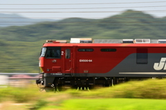 南へ…