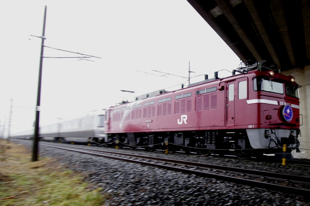 カシオペア   EF81-133釜