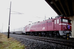 カシオペア   EF81-133釜