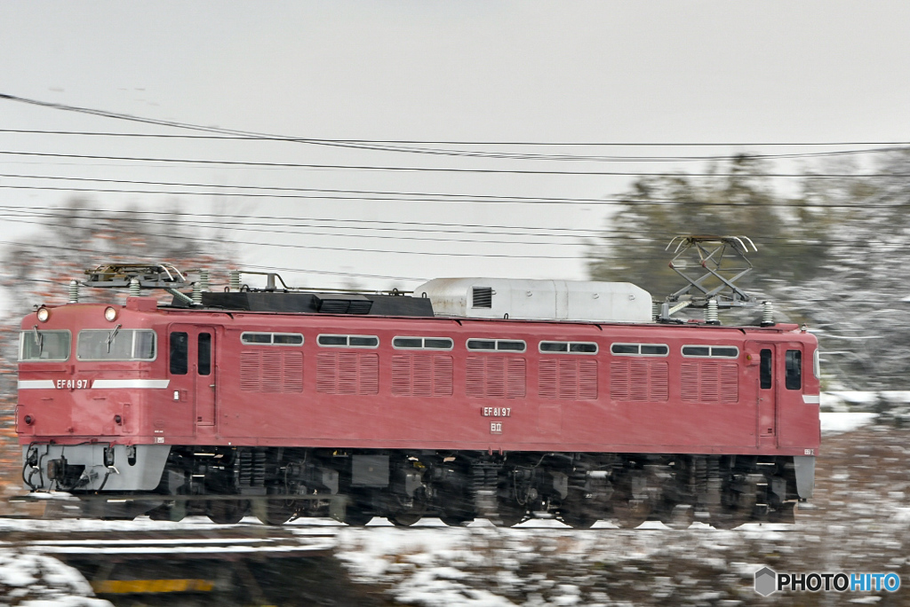 EF81 97 