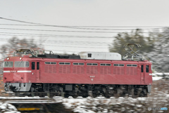 EF81 97 