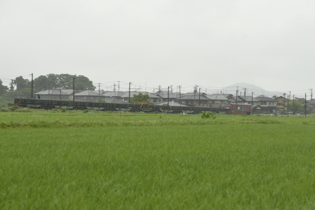 岩切向けチキ9B   EH500-23