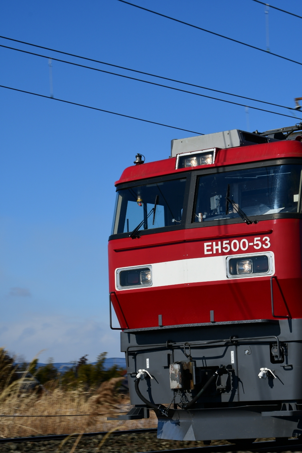 こんにちは、金太郎53番目です。