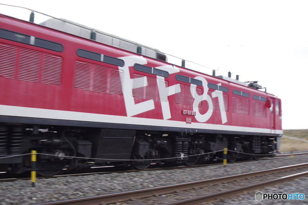 EF81