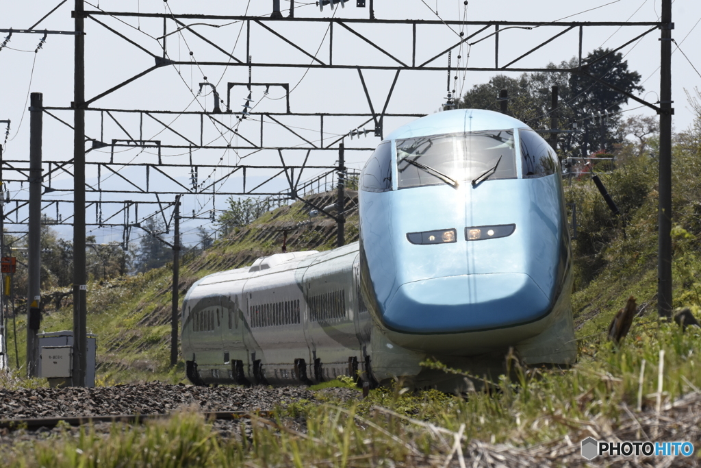 とれいゆ　つばさ