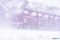 雪中