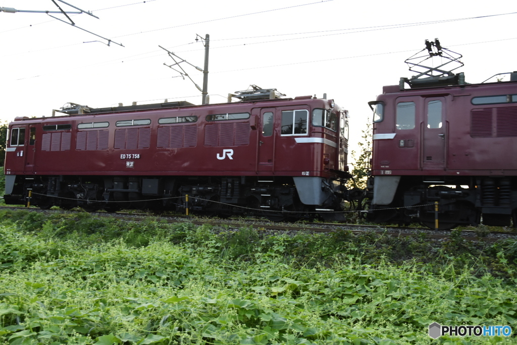 ED75 758配給