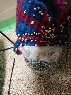 ちょっw 何してますのw