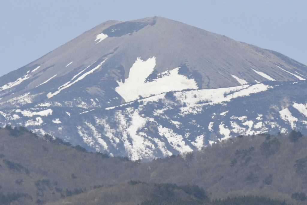 吾妻山　雪ウサギ