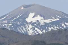 吾妻山　雪ウサギ
