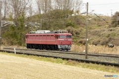 EF81-81 単機送り込み