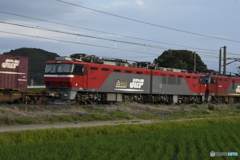 EH500-901ムド輸送