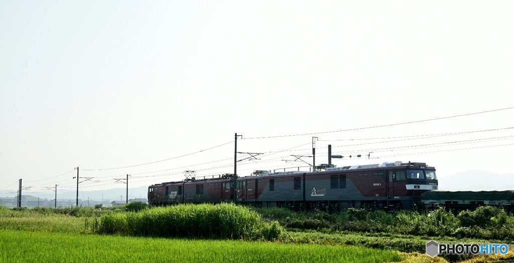 金太郎8号機ムド  全検査後噂通りJRFが消えました。