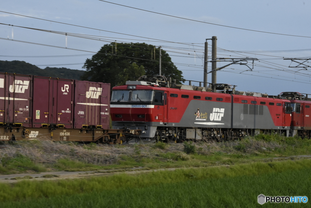 EH500-901ムド