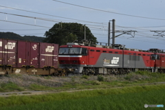 EH500-901ムド