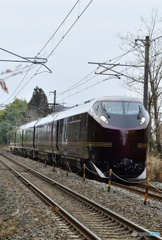 E655系  なごみ  