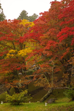 猪苗代町 土津神社