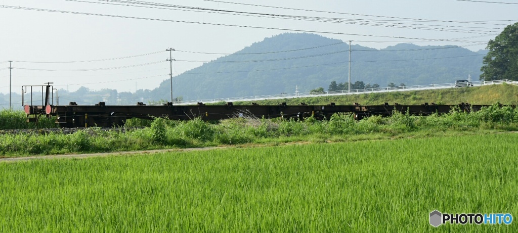 コキ50000番台廃車
