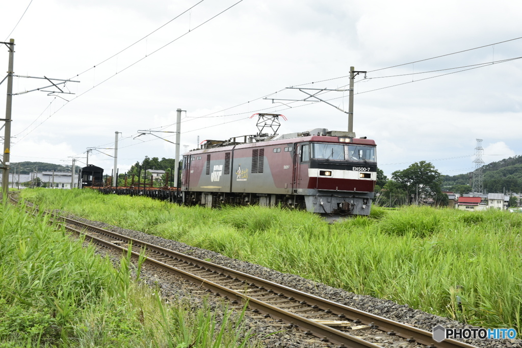 金太郎7 チキ+ヨ