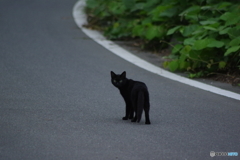 撮影場所の重鎮