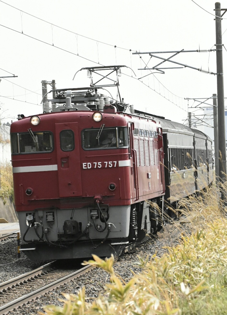 4/16 レトロ花めぐり号