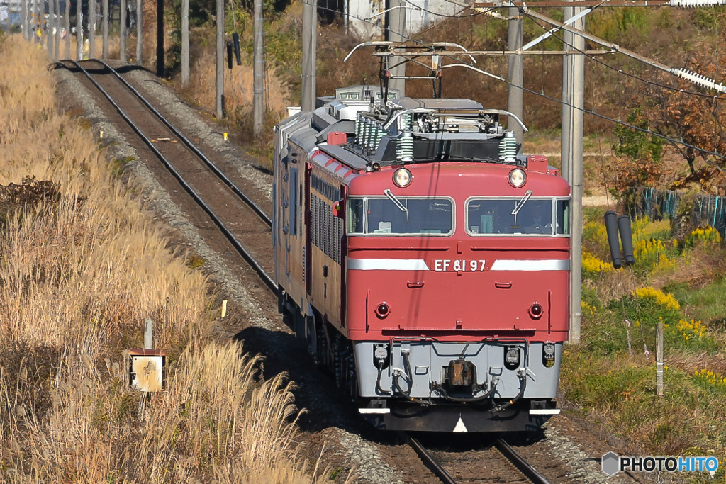 長岡EF81 97 マヤ回送