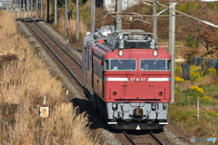 長岡EF81 97 マヤ回送