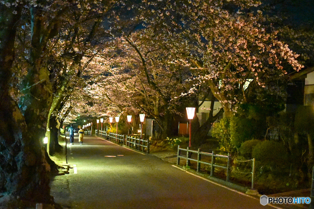 二本松市 岳温泉