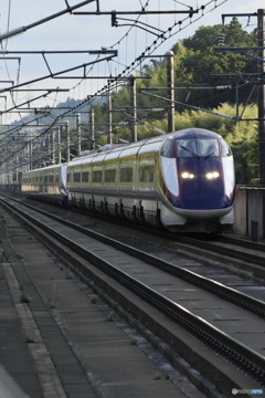 東北新幹線  つばさ