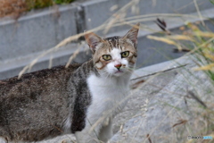 顔見てると…やんちゃだね(笑)