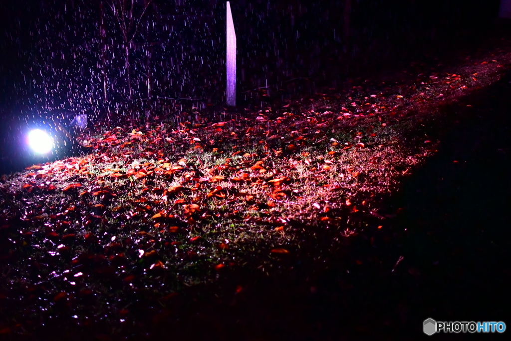 冷たい雨…