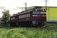 ED75 758配給 EF81 134牽引