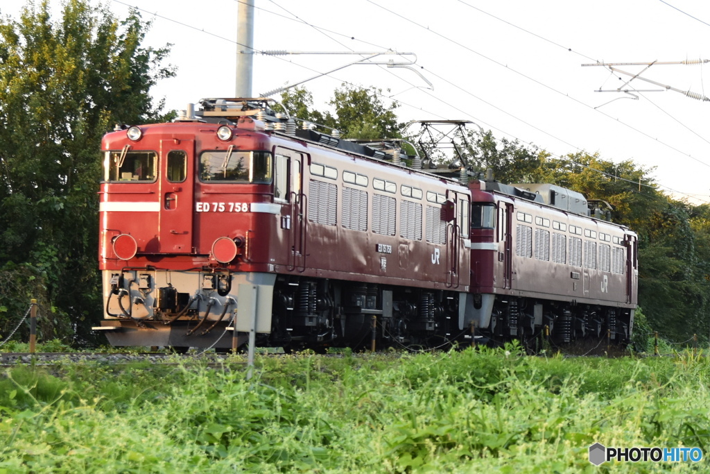 ED75 758 検査明け配給 EF81 134 牽引